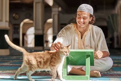 TIDAK dihukumkan tempat dipijak kucing sebagai bernajis sekiranya tiada kesan najis padanya. 