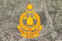  Dua lelaki yang sesat ketika melakukan aktiviti pendakian di kawasan hutan Taman Belia, Botanical Garden di sini petang tadi ditemukan dalam keadaan selamat oleh anggota bomba. - Gambar hiasan