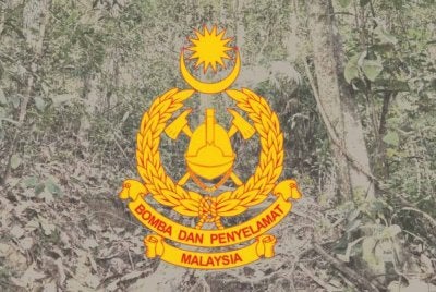  Dua lelaki yang sesat ketika melakukan aktiviti pendakian di kawasan hutan Taman Belia, Botanical Garden di sini petang tadi ditemukan dalam keadaan selamat oleh anggota bomba. - Gambar hiasan
