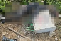 Tangan mangsa masih melekat pada kabel ketika mayatnya ditemui.