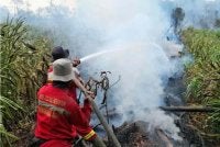 Lebih 202,000 hektar kawasan dilaporkan telah musnah akibat kebakaran hutan dan tanah sehingga Julai. - Foto Agensi
