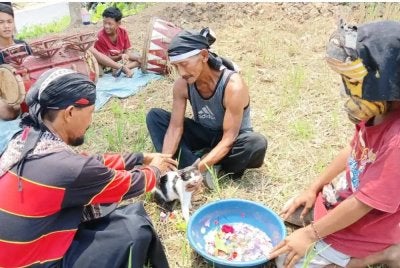 Kucing yang dikenali penduduk setempat sebagai condromowo itu dimandikan dengan air dawet dan air bunga sebagai sebahagian daripada ritual tersebut. Foto: Agensi