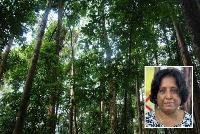 Meenakshi (gambar kecil) menegaskan pemberian ETF hanya wajar disalurkan kepada negeri yang mematuhi semua pindaan Akta Perhutanan Negara (APN) 1984 yang dibuat pada 2022.