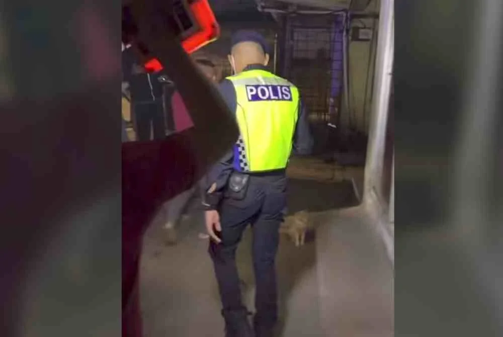 Tangkap layar rakaman video tular memaparkan pemeriksaan polis di sebuah rumah tidak bernombor di Kampung Sri Langkas Tambahan, Puchong pada Selasa.