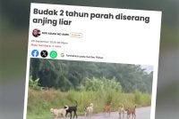 No Image Caption