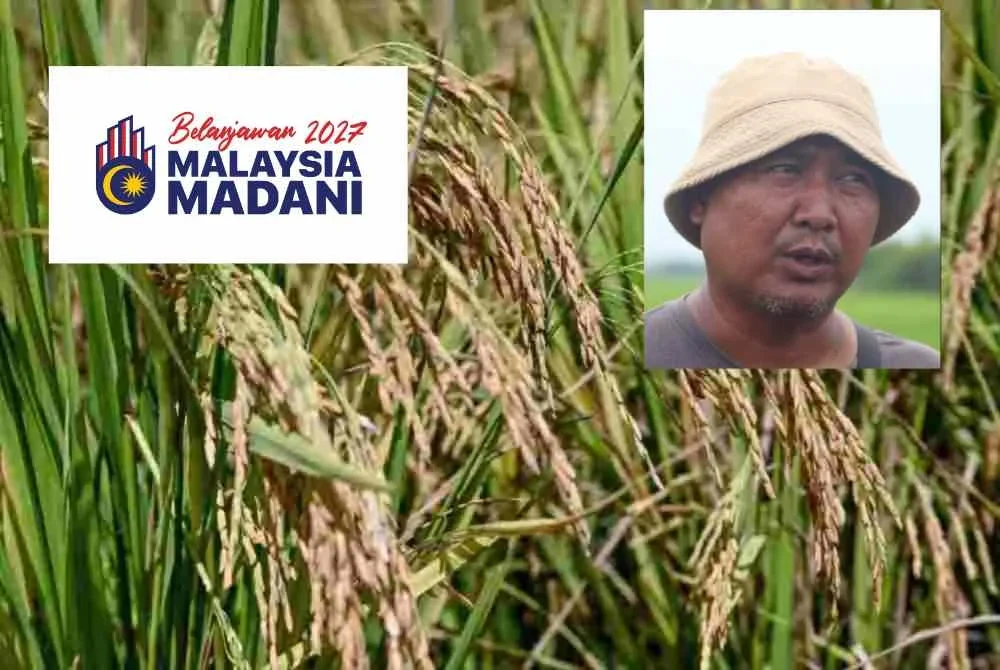Abdul Rashid Yob (foto kecil) berkata, permohonan menyenaraikan pesawah di bawah Sistem Kawalan Diesel Bersubsidi (SKDS) telah beberapa kali dikemukakan susulan peningkatan kos operasi.