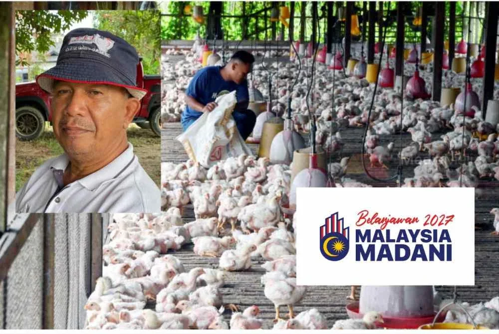 Harga makanan ternakan seperti pelet kini semakin mahal berikutan peningkatan kos operasi termasuk susulan kenaikan harga diesel. Foto kecil: Kamarudin
