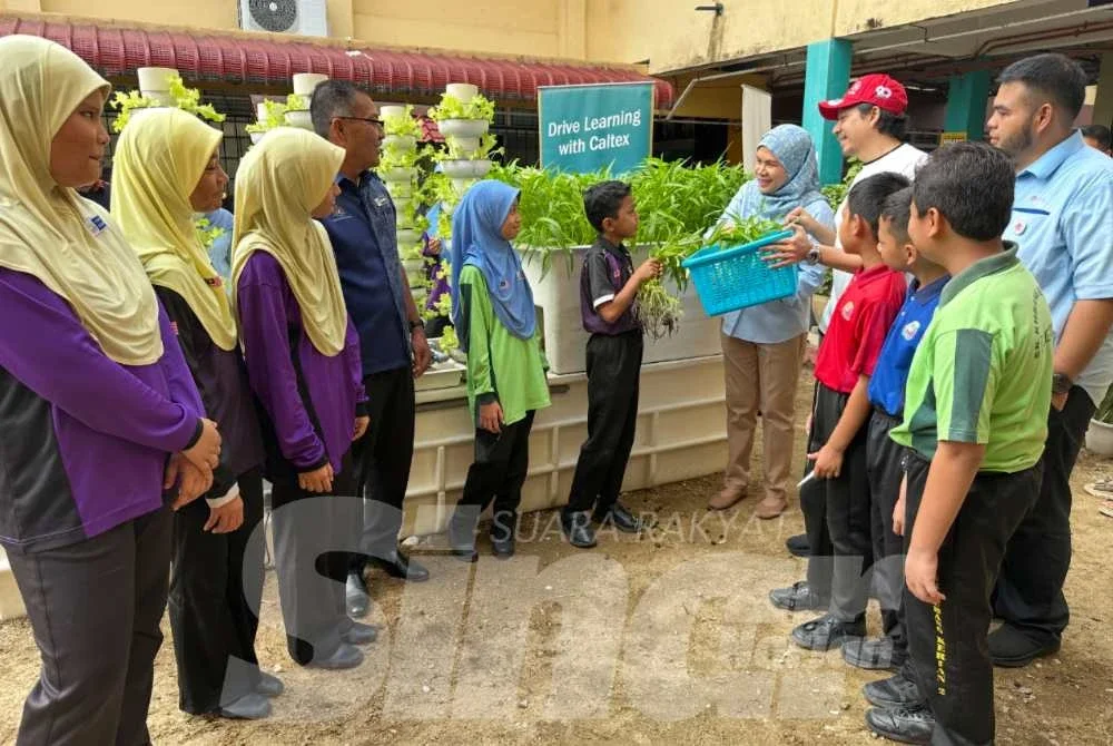 Muhammad Arif Akashah (enam dari kiri) menuai kangkung dan diberikan kepada Uzma (lima dari kanan).