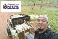 Rodhi mengharapkan penoreh yang bukan pemilik kebun tidak tercicir dari menikmati manfaat dari Belanjawan 2027.
