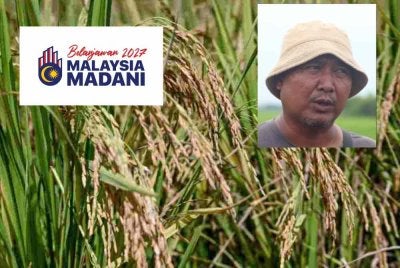 Abdul Rashid Yob (foto kecil) berkata, permohonan menyenaraikan pesawah di bawah Sistem Kawalan Diesel Bersubsidi (SKDS) telah beberapa kali dikemukakan susulan peningkatan kos operasi.