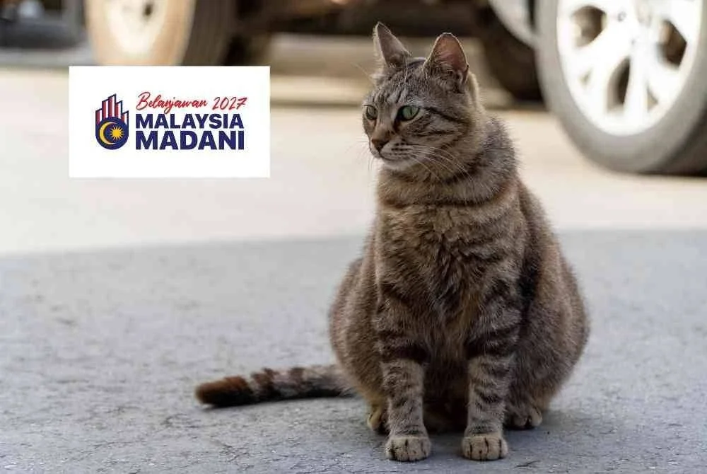  Rakyat yang mengambil haiwan peliharaan angkat daripada pusat berdaftar bakal menikmati pelepasan cukai individu menerusi peluasan skop pelepasan cukai gaya hidup dalam Belanjawan 2027.
