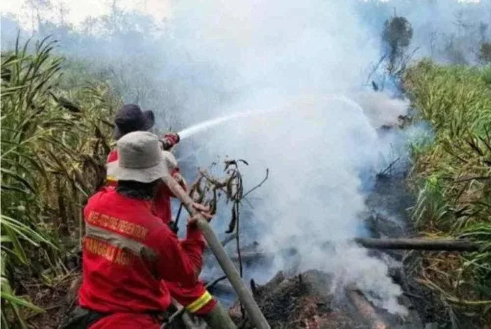 Indonesia turut mempergiat langkah pencegahan melalui pembasahan semula tanah gambut, penyediaan tanah tanpa pembakaran serta penubuhan kumpulan baharu Masyarakat Peduli Api. - FOTO: Agensi