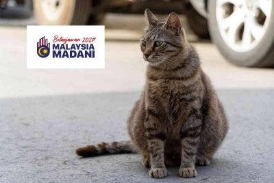  Rakyat yang mengambil haiwan peliharaan angkat daripada pusat berdaftar bakal menikmati pelepasan cukai individu menerusi peluasan skop pelepasan cukai gaya hidup dalam Belanjawan 2027.