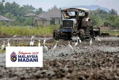  Seorang pesawah mengendalikan traktor bagi kerja-kerja penyediaan tanah untuk penanaman padi di kawasan sawah sekitar Padang Melangit di sini ketika tinjauan hari ini.