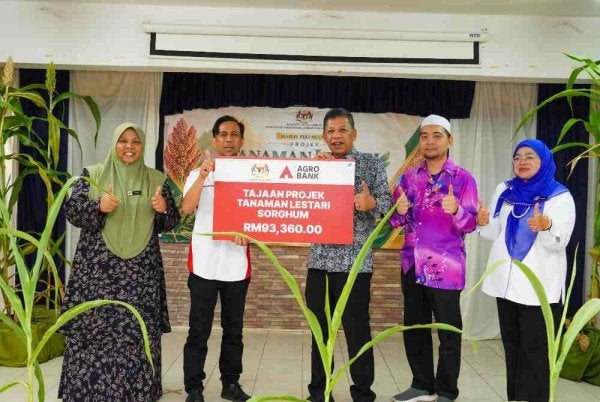 Pengarah Wilayah Agrobank Pahang, Wan Shamsul Kamal Wan Jusoh (dua dari kiri), menyampaikan cek cura tajaan projek tanaman lestari Sorghum kepada wakil penerima