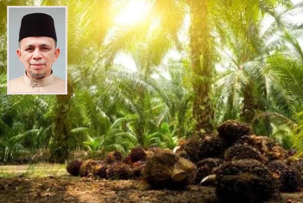 Peneroka perlu diberi peluang meneroka sumber pendapatan lain bagi mengurangkan kebergantungan kepada hasil kelapa sawit yang terdedah kepada ketidaktentuan harga komoditi. Gambar kecil: Razak