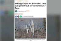 Pelbagai spesies ikan ditemukan mati dipercayai berpunca daripada pencemaran serius di Sungai Gali dan Sungai Lampan.