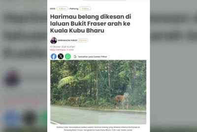 Laporan oleh Sinar Harian pada Sabtu.