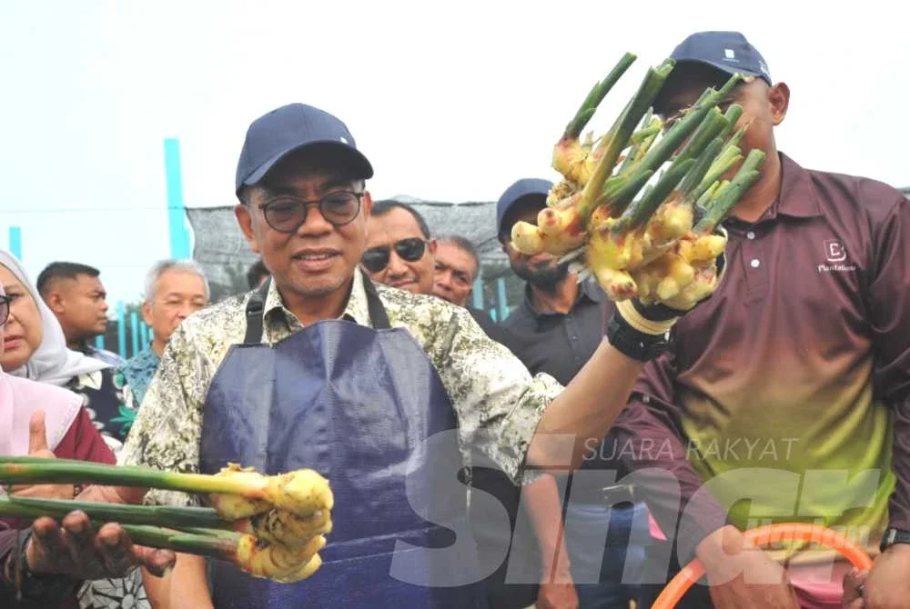 Mohamed Khaled hadir Program Tuaian Pertama Halia KayTi JanaVeteran dan Pelancaran JanaKomuniti di Felda Air Tawar 3.