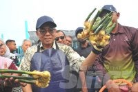 Mohamed Khaled hadir Program Tuaian Pertama Halia KayTi JanaVeteran dan Pelancaran JanaKomuniti di Felda Air Tawar 3.