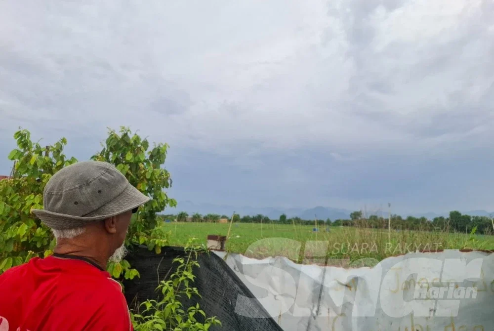 Gangguan lalat yang sudah berlarutan lebih setahun disyaki berpunca daripada penggunaan baja tinja di kebun-kebun tanaman kontan yang terdapat di sekeliling kawasan penempatan.