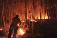 Indonesia sedang memadamkan kebakaran hutan dan tanah yang menjejaskan 31 hektar lagi kawasan di tiga wilayah di Sulawesi dan Papua, di luar enam wilayah keutamaan yang menyaksikan operasi pemadaman berlanjutan selama beberapa bulan. Foto Facebook BNPB
