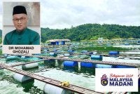 Antara peruntukan utama yang diumumkan dalam Belanjawan 2027 termasuklah pembiayaan khas akuakultur melalui Agrobank bernilai RM40 juta yang merangkumi pembangunan sistem bioflok tilapia. Gambar hiasan 