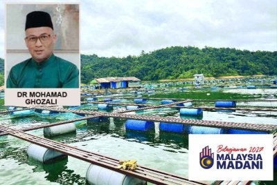 Antara peruntukan utama yang diumumkan dalam Belanjawan 2027 termasuklah pembiayaan khas akuakultur melalui Agrobank bernilai RM40 juta yang merangkumi pembangunan sistem bioflok tilapia. Gambar hiasan 