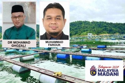 Antara peruntukan utama yang diumumkan dalam Belanjawan 2027 termasuklah pembiayaan khas akuakultur melalui Agrobank bernilai RM40 juta yang merangkumi pembangunan sistem bioflok tilapia. Gambar hiasan