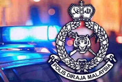 Polis merampas 42 senapang angin pelbagai jenama berserta 456 kotak kecil peluru dan menahan seorang pekebun kelapa sawit di sebuah pondok dalam operasi di Sook, Keningau semalam.