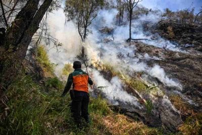  Indonesia tidak akan mengisytiharkan kebakaran hutan dan tanah yang berlarutan di negara itu sebagai bencana nasional buat masa ini.