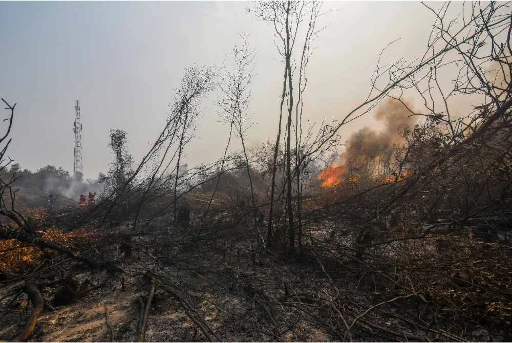 Api kembali marak di kawasan tanah gambut yang hangus di Banjar, Kalimantan Selatan, ketika kebakaran bawah tanah terus menyukarkan usaha pemadaman.