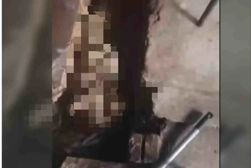 Pengunjung Pasar Awam Sama Gagah di sini pada Selasa gempar dengan penemuan mayat berbalut kain seperti 'mumia' di dalam longkang kawasan pasar itu.