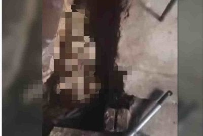 Pengunjung Pasar Awam Sama Gagah di sini pada Selasa gempar dengan penemuan mayat berbalut kain seperti 'mumia' di dalam longkang kawasan pasar itu.