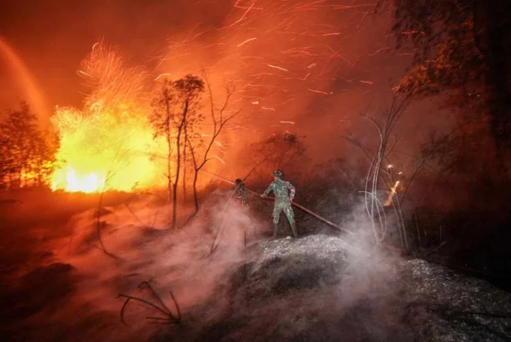 Kebakaran hutan Indonesia: 223 individu, sembilan syarikat jadi suspek Kebakaran hutan Indonesia: 223 individu, sembilan syarikat jadi suspek