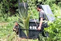 Penduduk di empat kampung dihantui kemunculan seekor harimau sejak Isnin lalu. Foto: Ihsan penduduk