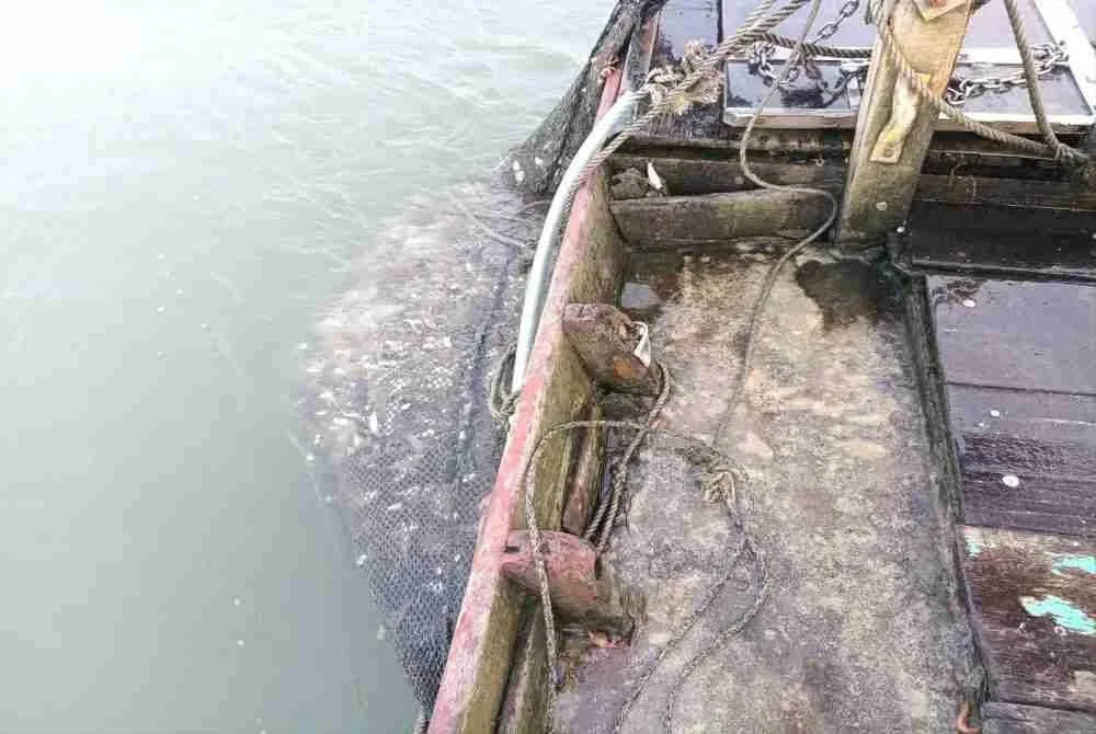 Maritim Malaysia turut menahan sebuah Vesel Nelayan Tempatan (VNT) kira-kira jam 9.55 pagi Rabu selepas disyaki melanggar undang-undang perikanan di perairan berhampiran muara Sungai Burung. Foto: Maritim Malaysia