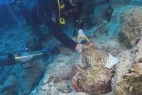 Ahli arkeologi percaya kapal tersebut berlayar dari pantai timur Mediterranean dan mungkin menuju ke kota purba Troy di Turkiye atau penempatan tamadun Minoa di Crete. - Foto Reuters