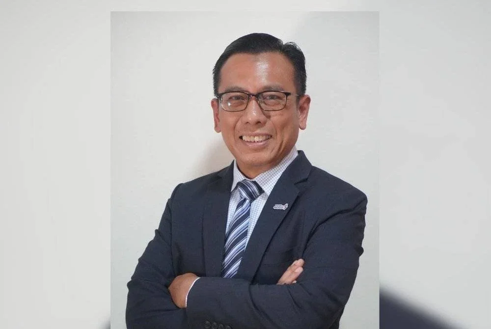 AMIR HAMZAH
