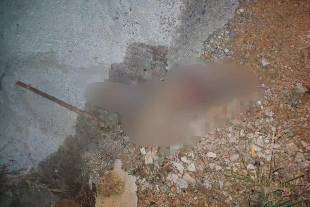 Keadaan mayat bayi yang tidak sempurna sifat ketika ditemukan dalam longkang di Kawasan Perumahan Padang Setengge, Hulu Terengganu pada Jumaat. Gambar: - FOTO: Ihsan pembaca