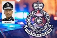 Seramai 14 individu ditahan bagi membantu siasatan kes pecah rumah di Taman Sejati di sini baru-baru ini.