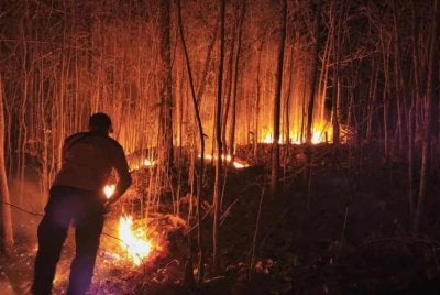 Malaysia bersedia menghulurkan bantuan kepada Indonesia bagi menangani kebakaran hutan dan tanah yang meluas di negara itu.