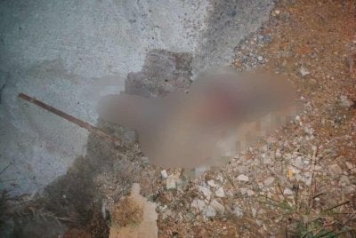 Keadaan mayat bayi yang tidak sempurna sifat ketika ditemukan dalam longkang di Kawasan Perumahan Padang Setengge, Hulu Terengganu pada Jumaat. Gambar: - FOTO: Ihsan pembaca