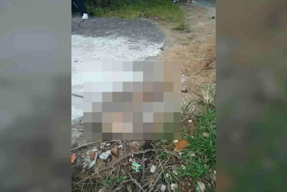 Polis menahan seorang wanita bagi membantu siasatan berhubung penemuan mayat seorang bayi tanpa kepala di dalam longkang di kawasan perumahan Padang Setengge dekat sini petang semalam.