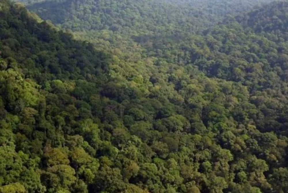 Semua laluan pendakian dan aktiviti rekreasi seperti meredah hutan, pacuan empat roda, kenderaan bermotor dan berbasikal dalam HSK Perak adalah tidak dibenarkan dan ditutup. Gambar hiasan