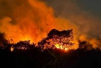 Semua negara di dunia termasuk negara maju pada satu ketika dalam sejarah mereka telah menebang dan membakar hutan rimba untuk pertanian dan penempatan manusia. - Gambar hiasan