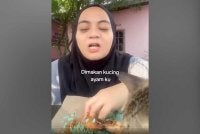 Kelihatan seekor kucing 'mencuri' ayam ketika Ain sedang menjamu selera sambil bersiaran bersama pengikutnya.