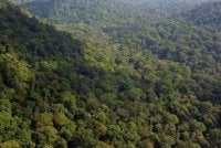 Semua laluan pendakian dan aktiviti rekreasi seperti meredah hutan, pacuan empat roda, kenderaan bermotor dan berbasikal dalam HSK Perak adalah tidak dibenarkan dan ditutup. Gambar hiasan 
