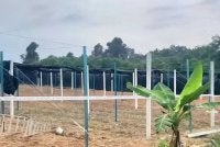 Kawasan tanaman sireh serta penempatan etnik Rohingya di atas tanah pertanian di Kampung Padang Guchil, Tanah Merah telah disita pada Khamis.
