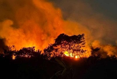 Semua negara di dunia termasuk negara maju pada satu ketika dalam sejarah mereka telah menebang dan membakar hutan rimba untuk pertanian dan penempatan manusia. - Gambar hiasan